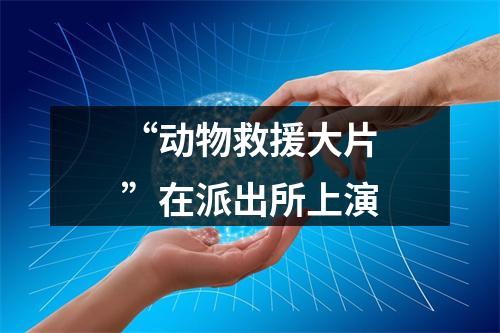 “动物救援大片”在派出所上演