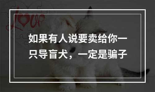 如果有人说要卖给你一只导盲犬，一定是骗子