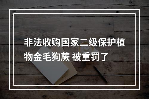 非法收购国家二级保护植物金毛狗蕨 被重罚了
