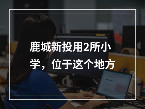 鹿城新投用2所小学，位于这个地方