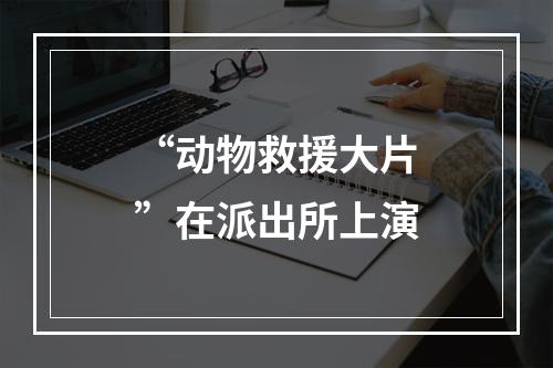 “动物救援大片”在派出所上演