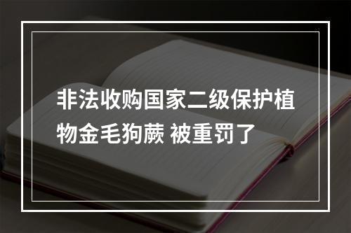 非法收购国家二级保护植物金毛狗蕨 被重罚了