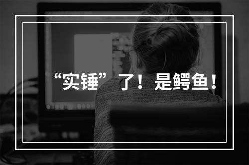 “实锤”了！是鳄鱼！