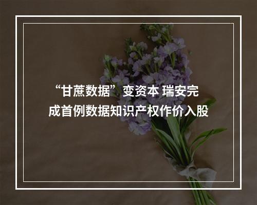 “甘蔗数据”变资本 瑞安完成首例数据知识产权作价入股