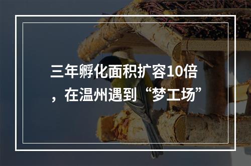 三年孵化面积扩容10倍，在温州遇到“梦工场”