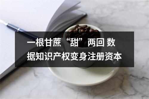 一根甘蔗“甜”两回 数据知识产权变身注册资本