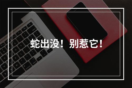 蛇出没！别惹它！