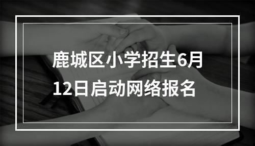 鹿城区小学招生6月12日启动网络报名