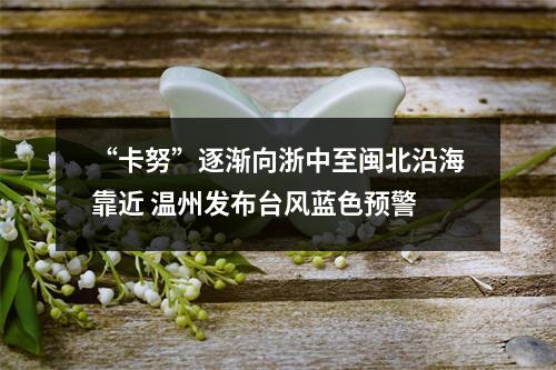 “卡努”逐渐向浙中至闽北沿海靠近 温州发布台风蓝色预警