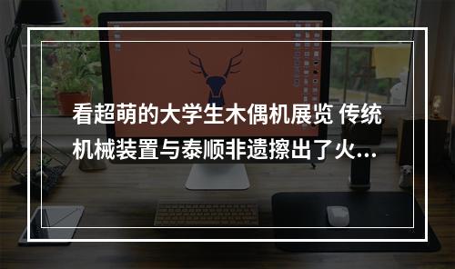 看超萌的大学生木偶机展览 传统机械装置与泰顺非遗擦出了火花