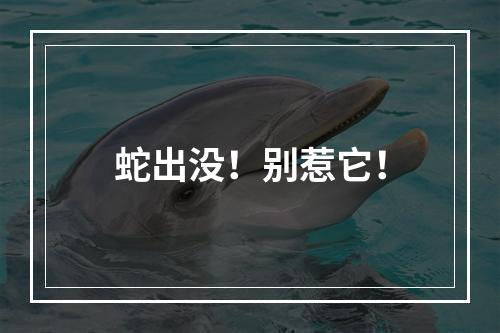 蛇出没！别惹它！