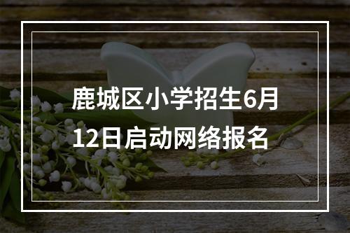 鹿城区小学招生6月12日启动网络报名