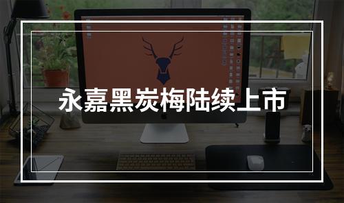 永嘉黑炭梅陆续上市