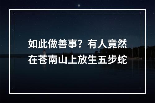 如此做善事？有人竟然在苍南山上放生五步蛇