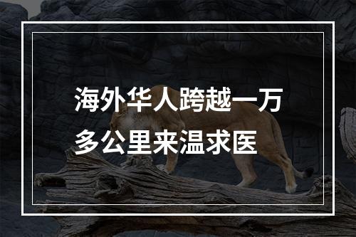 海外华人跨越一万多公里来温求医
