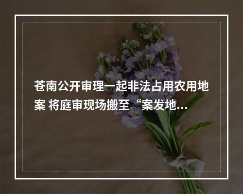 苍南公开审理一起非法占用农用地案 将庭审现场搬至“案发地”