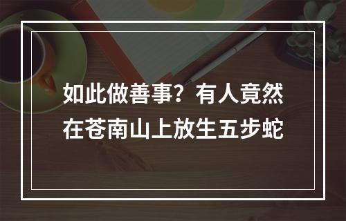 如此做善事？有人竟然在苍南山上放生五步蛇