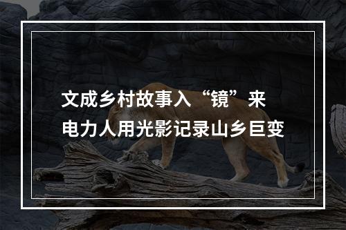 文成乡村故事入“镜”来 电力人用光影记录山乡巨变