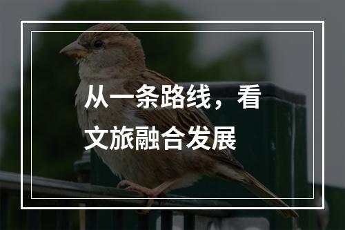 从一条路线，看文旅融合发展