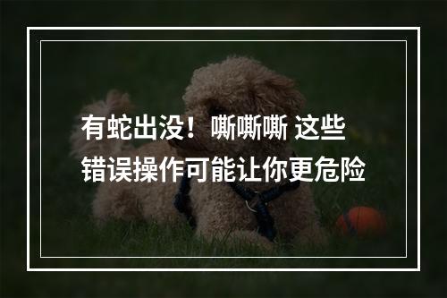 有蛇出没！嘶嘶嘶 这些错误操作可能让你更危险