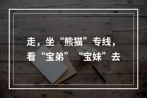 走，坐“熊猫”专线，看“宝弟”“宝妹”去