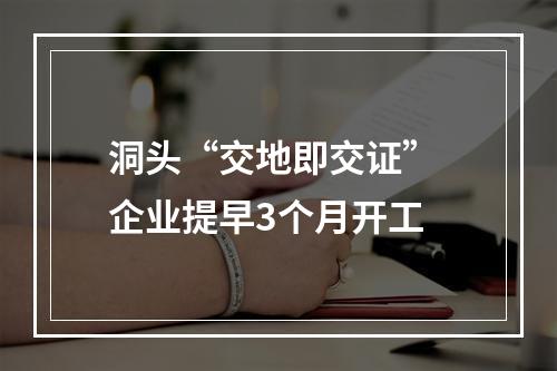 洞头“交地即交证” 企业提早3个月开工