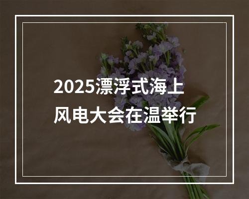 2025漂浮式海上风电大会在温举行
