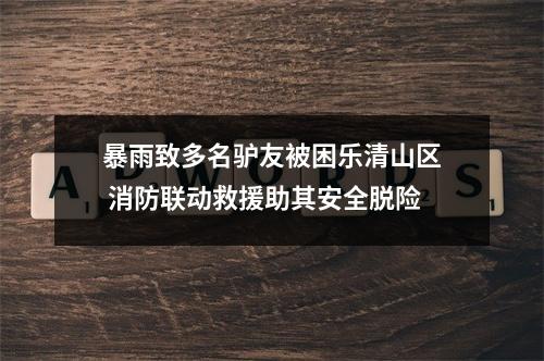 暴雨致多名驴友被困乐清山区 消防联动救援助其安全脱险