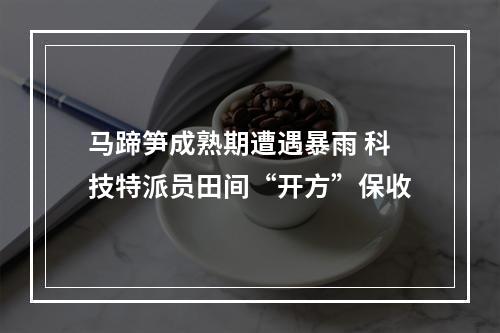 马蹄笋成熟期遭遇暴雨 科技特派员田间“开方”保收