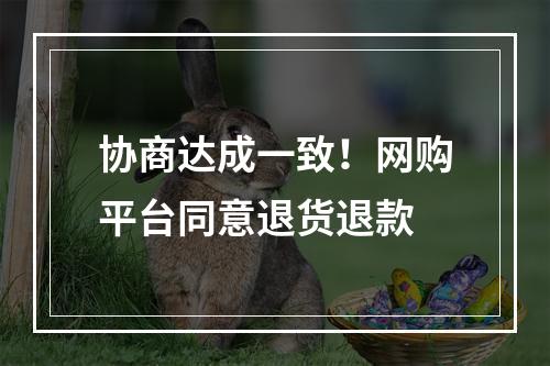 协商达成一致！网购平台同意退货退款