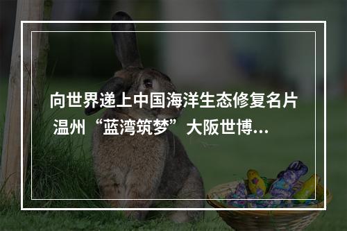 向世界递上中国海洋生态修复名片 温州“蓝湾筑梦”大阪世博会“圈粉”