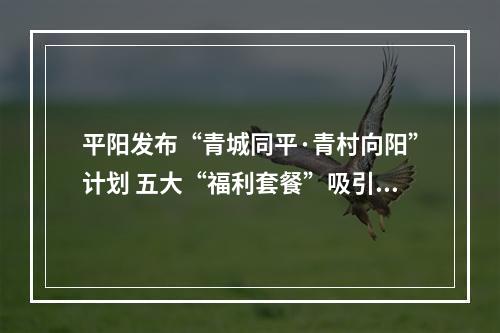 平阳发布“青城同平·青村向阳”计划 五大“福利套餐”吸引青年人才汇聚