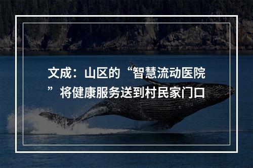 文成：山区的“智慧流动医院”将健康服务送到村民家门口