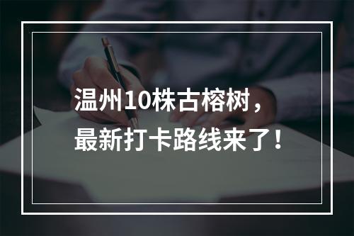 温州10株古榕树，最新打卡路线来了！