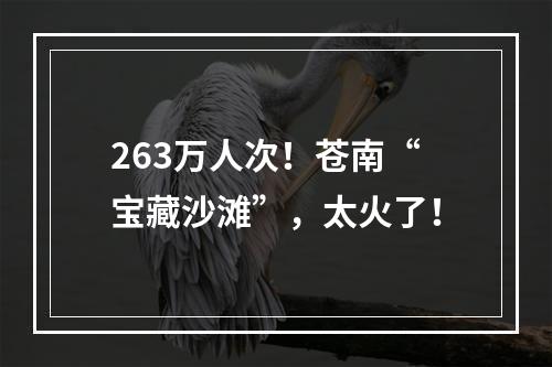 263万人次！苍南“宝藏沙滩”，太火了！
