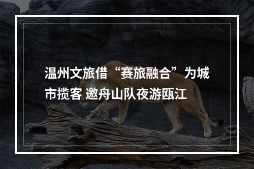 温州文旅借“赛旅融合”为城市揽客 邀舟山队夜游瓯江