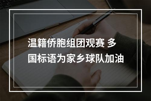 温籍侨胞组团观赛 多国标语为家乡球队加油