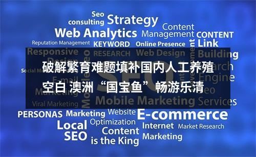 破解繁育难题填补国内人工养殖空白 澳洲“国宝鱼”畅游乐清