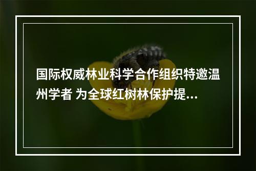 国际权威林业科学合作组织特邀温州学者 为全球红树林保护提供“浙江方案”