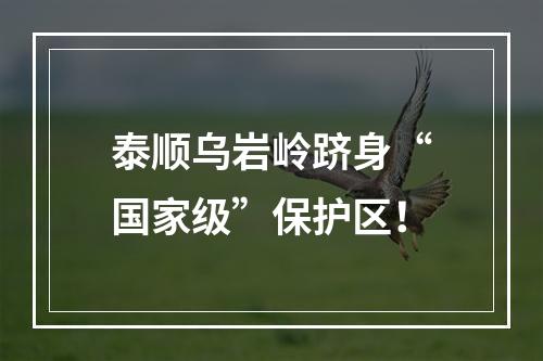泰顺乌岩岭跻身“国家级”保护区！