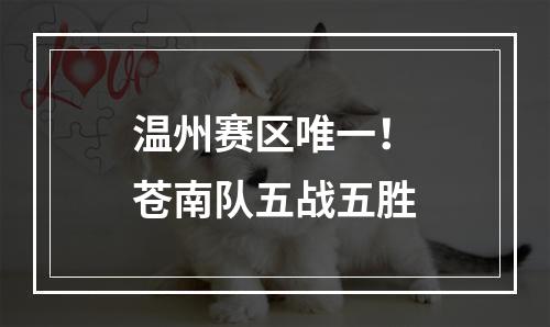 温州赛区唯一！苍南队五战五胜