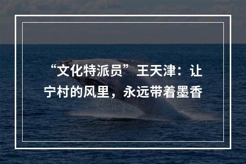 “文化特派员”王天津：让宁村的风里，永远带着墨香