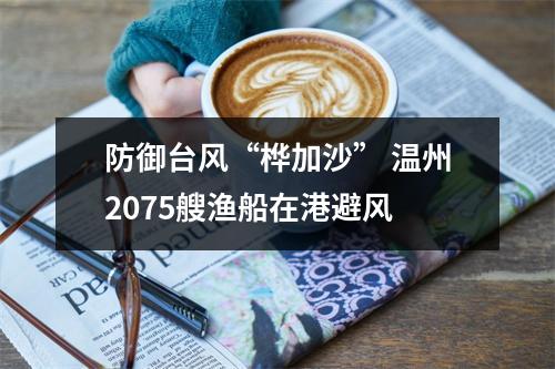 防御台风“桦加沙” 温州2075艘渔船在港避风