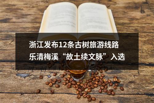 浙江发布12条古树旅游线路 乐清梅溪“故土续文脉”入选