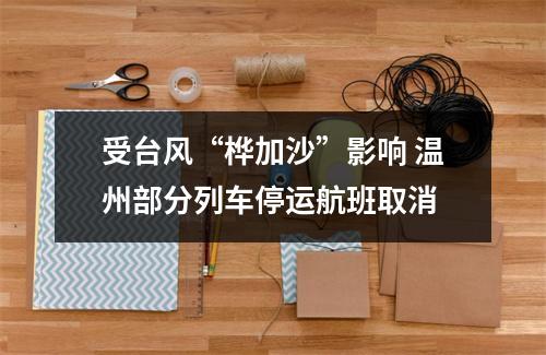 受台风“桦加沙”影响 温州部分列车停运航班取消