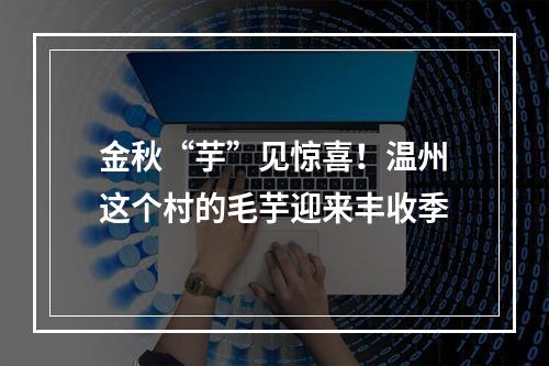 金秋“芋”见惊喜！温州这个村的毛芋迎来丰收季