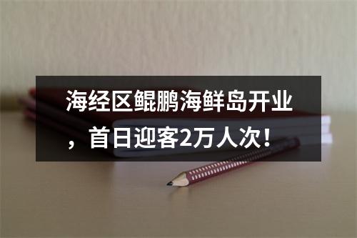 海经区鲲鹏海鲜岛开业，首日迎客2万人次！