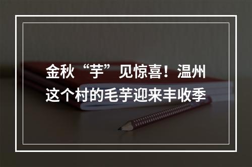 金秋“芋”见惊喜！温州这个村的毛芋迎来丰收季