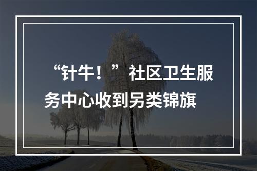 “针牛！”社区卫生服务中心收到另类锦旗
