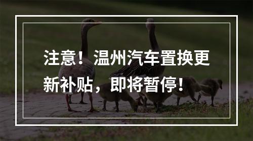 注意！温州汽车置换更新补贴，即将暂停！